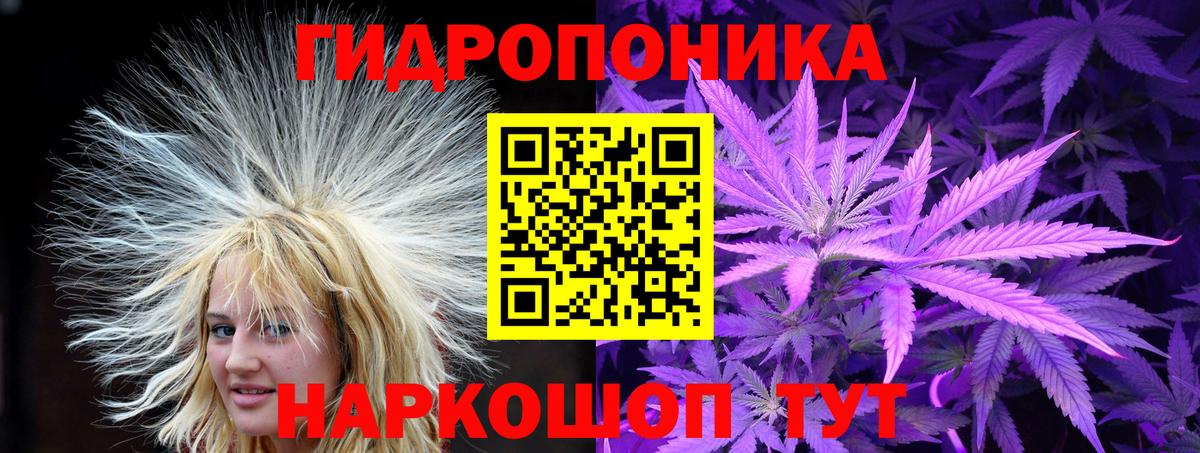 Конопля тримм  Вход с VPN  Пушкино  Канабис ГИДРОПОН  Канабис индика  МАРИХУАНА OG Kush 
